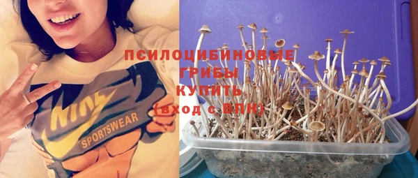 мяу мяу мука Абдулино