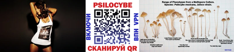 Галлюциногенные грибы прущие грибы  MEGA ONION  Александровск-Сахалинский 